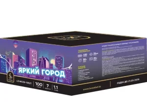 Салют Яркий город/Жарқын қала 100 зарядов